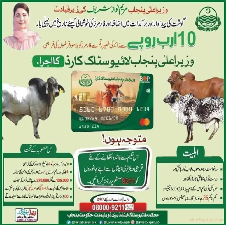 What is Punjab CM Livestock Scheme?