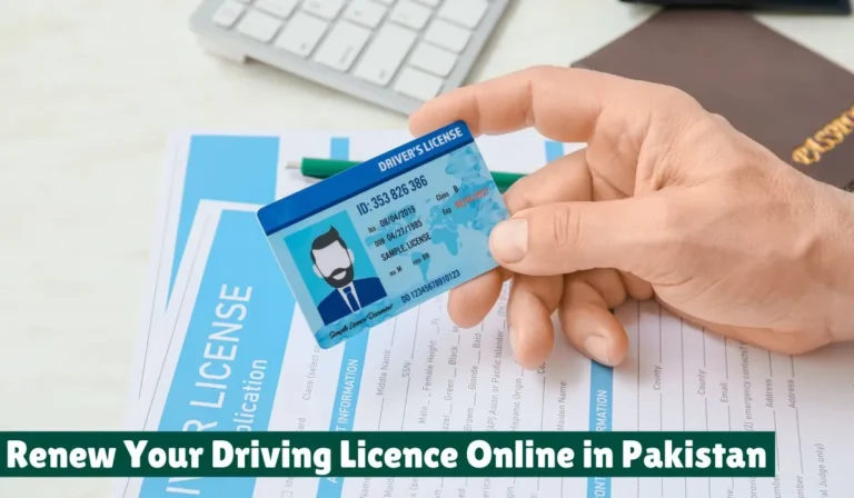 A person in Pakistan using a computer or mobile phone to renew their driving licence online through a government portal, showing digital convenience and time-saving process.